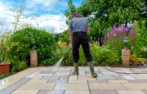 Professional Pressure Washing in Pahokee, FL